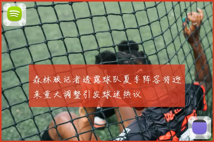 森林狼记者透露球队夏季阵容将迎来重大调整引发球迷热议